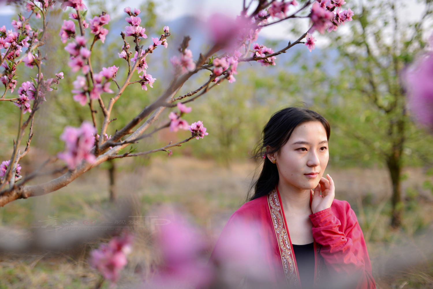 00028_2015-03-22