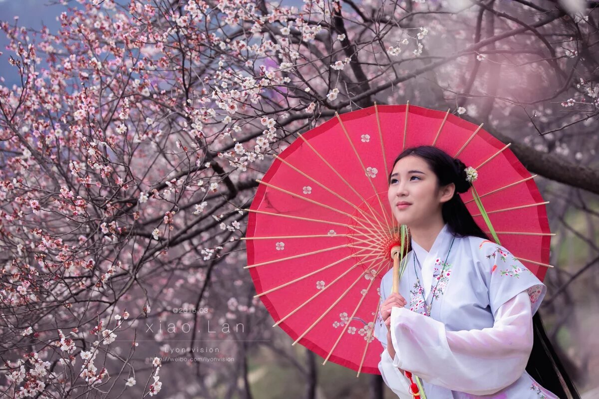 《公子春游》苏州行