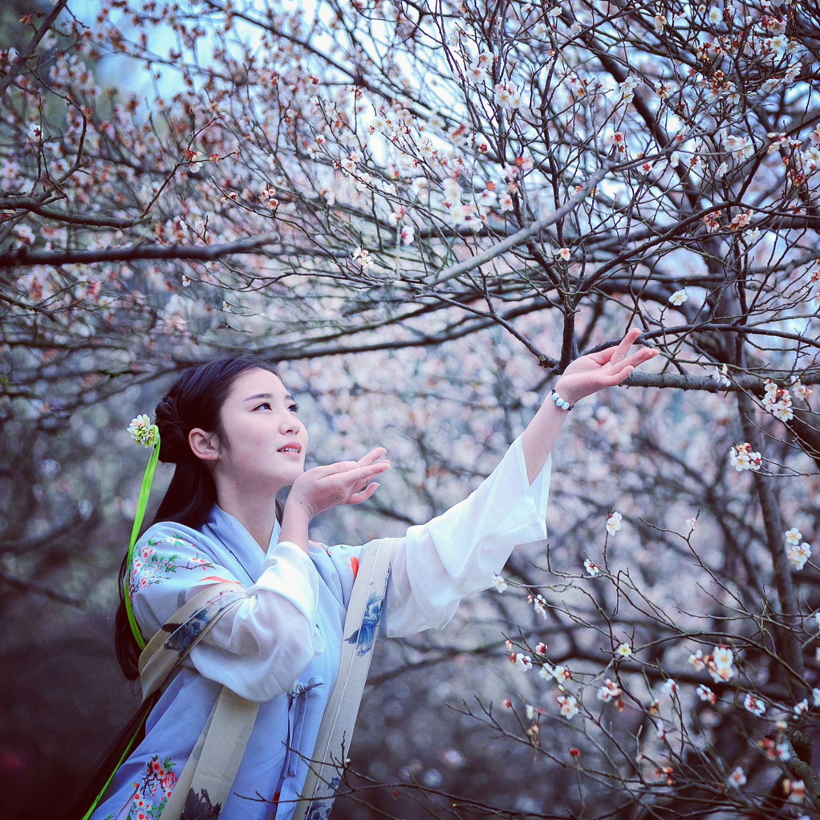 《公子春游》苏州行