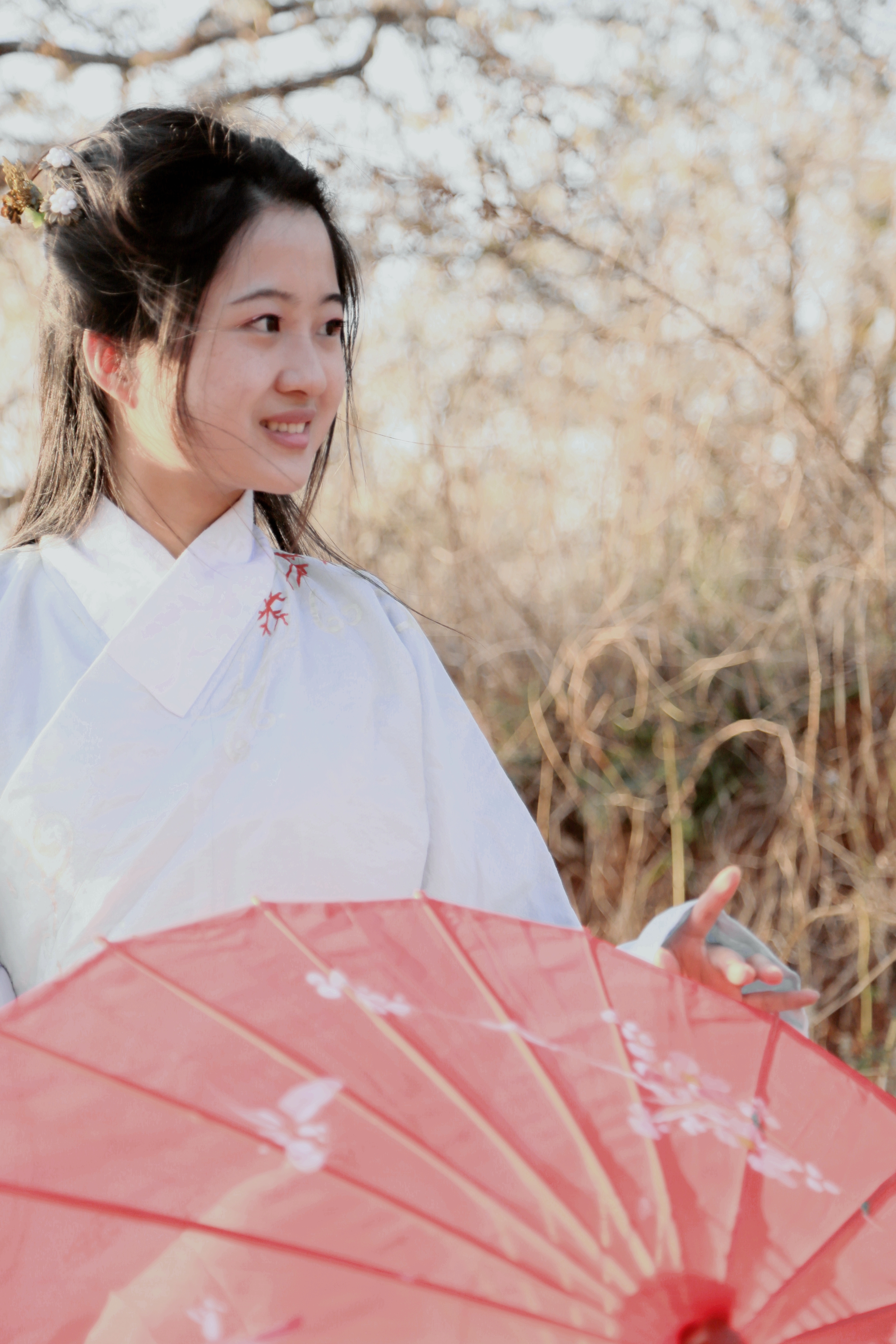 00133_2015-03-12