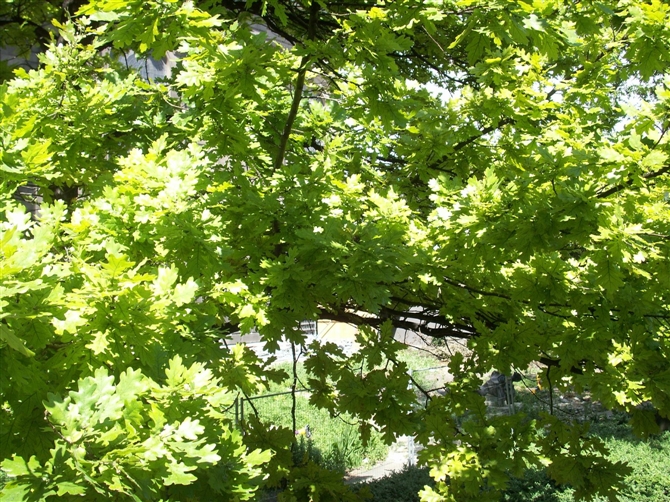 00068_PICT0112