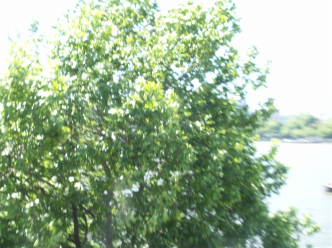 00079_PICT0102