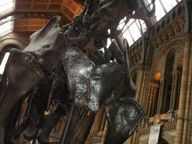 00101_PICT0011