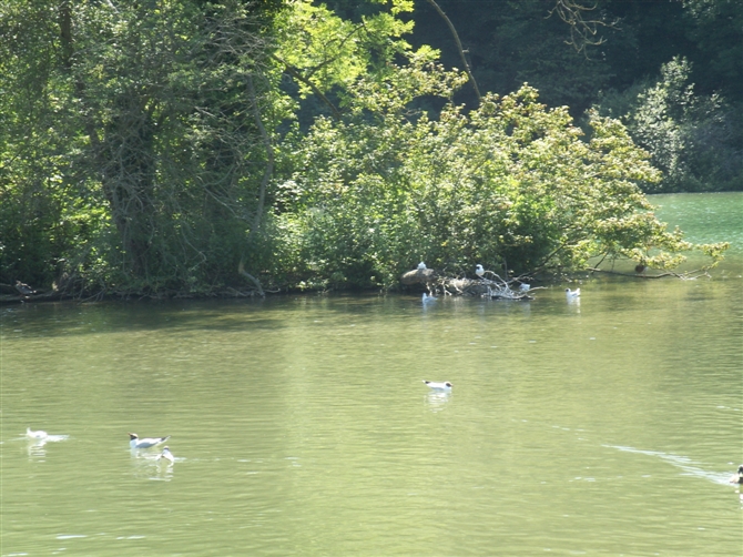 00104_PICT0038