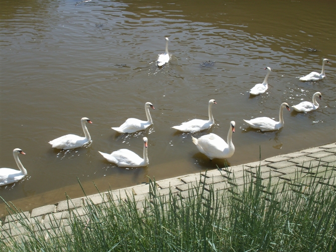 00111_PICT0014