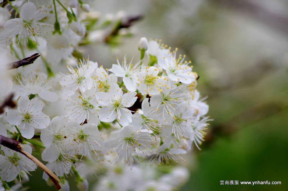 00003_IMGP3472