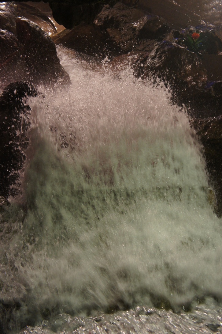 00061_DSC00712