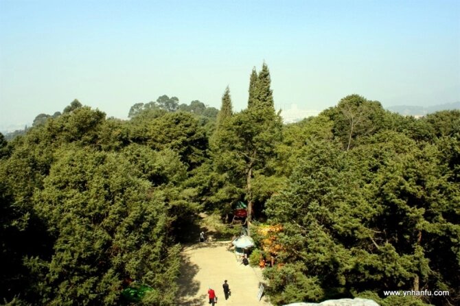00195_IMG_0362