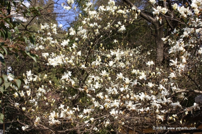 00420_yc14