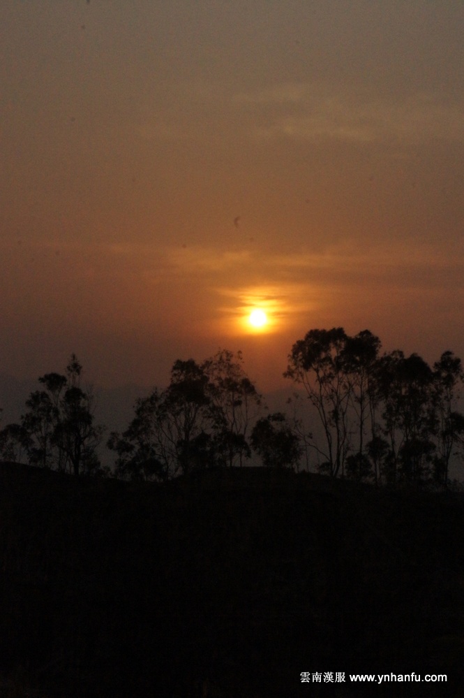 00033_DSC05830