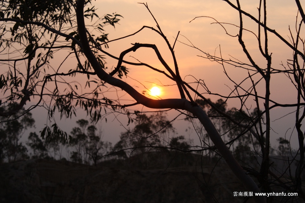 00042_IMG_7931