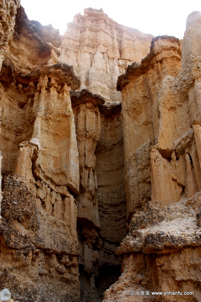 00057_IMG_8039