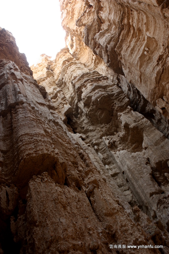 00060_IMG_8079