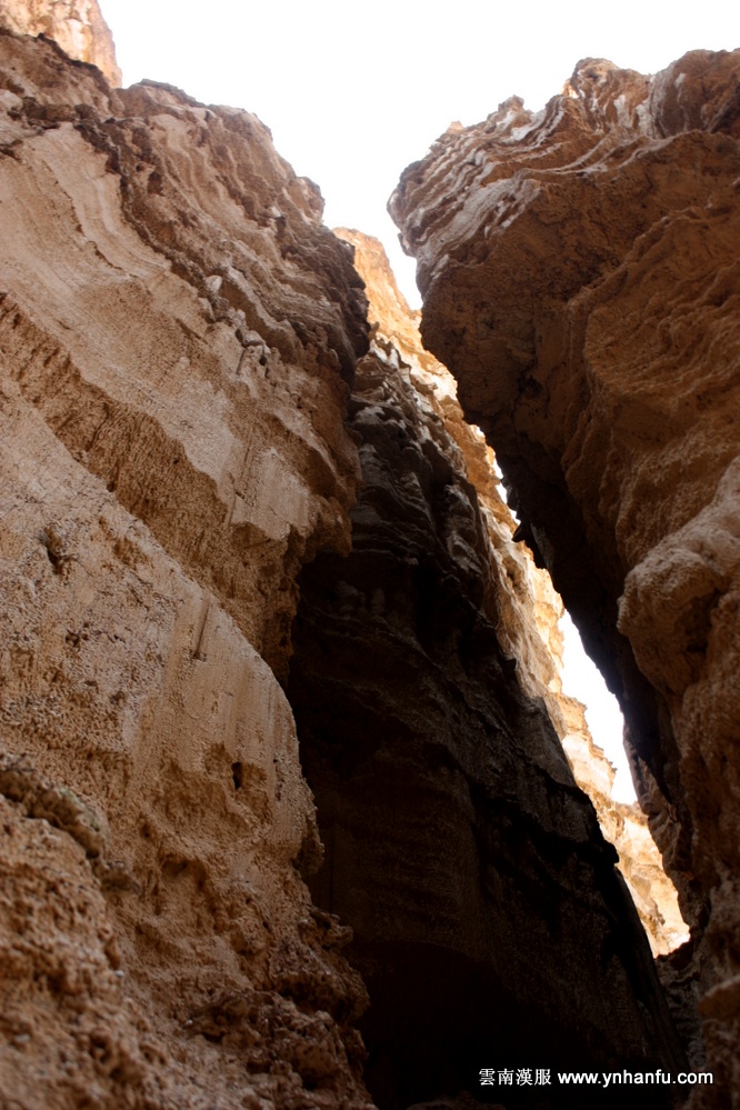 00064_IMG_8086