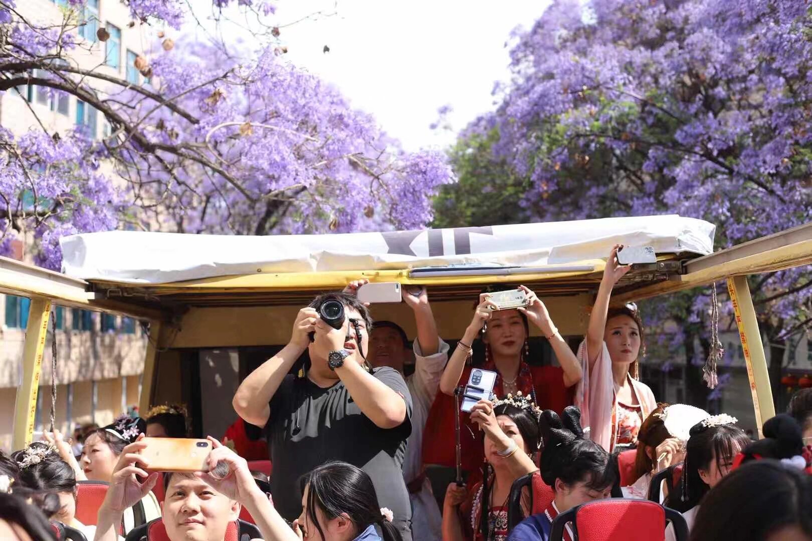 汉服蓝花楹 敞篷大巴 一日游 5月10日 全天 今年花期推迟 10号花期最好 游览昆明所有蓝花楹景点 参观米轨火车 要参加的宝宝扫码入群