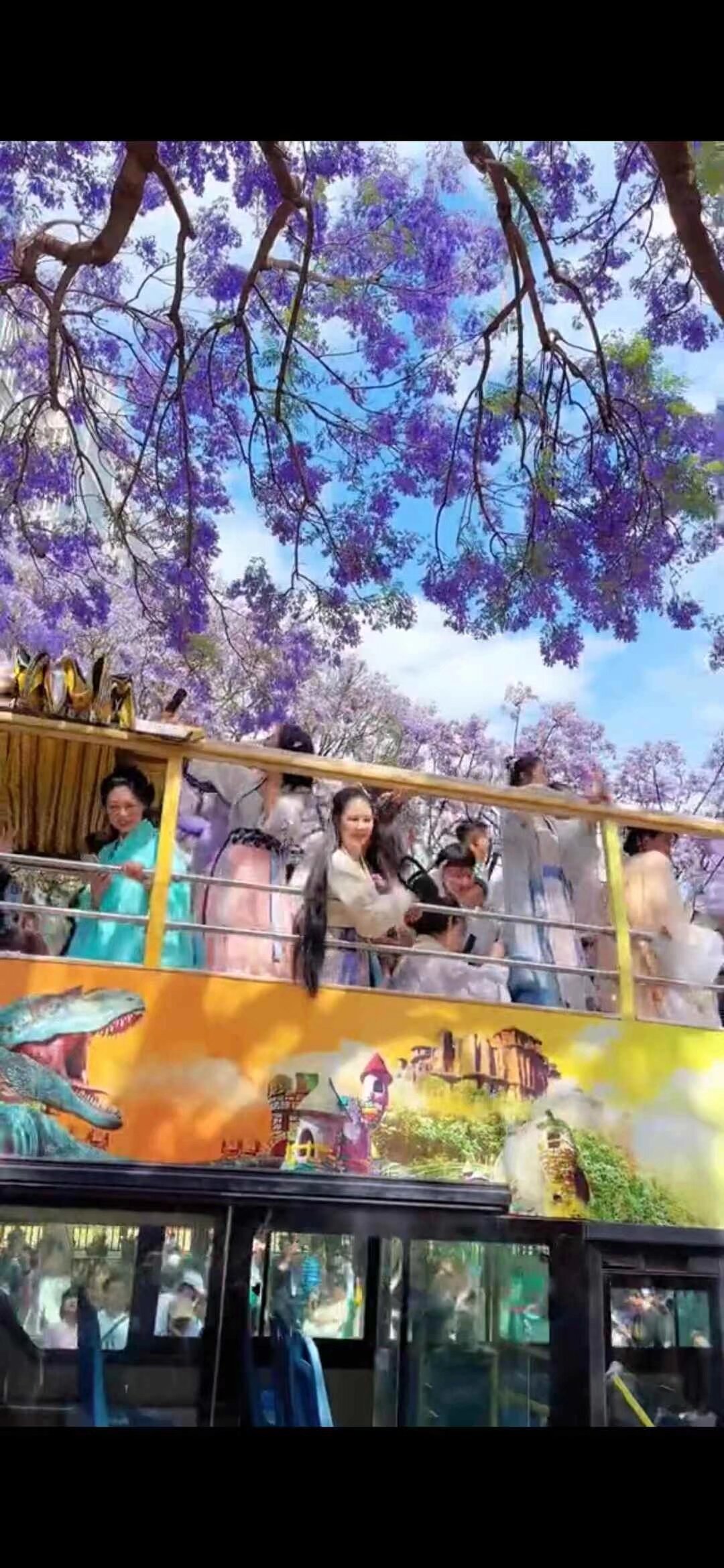 汉服蓝花楹 敞篷大巴 一日游 5月10日 全天 今年花期推迟 10号花期最好 游览昆明所有蓝花楹景点 参观米轨火车 要参加的宝宝扫码入群