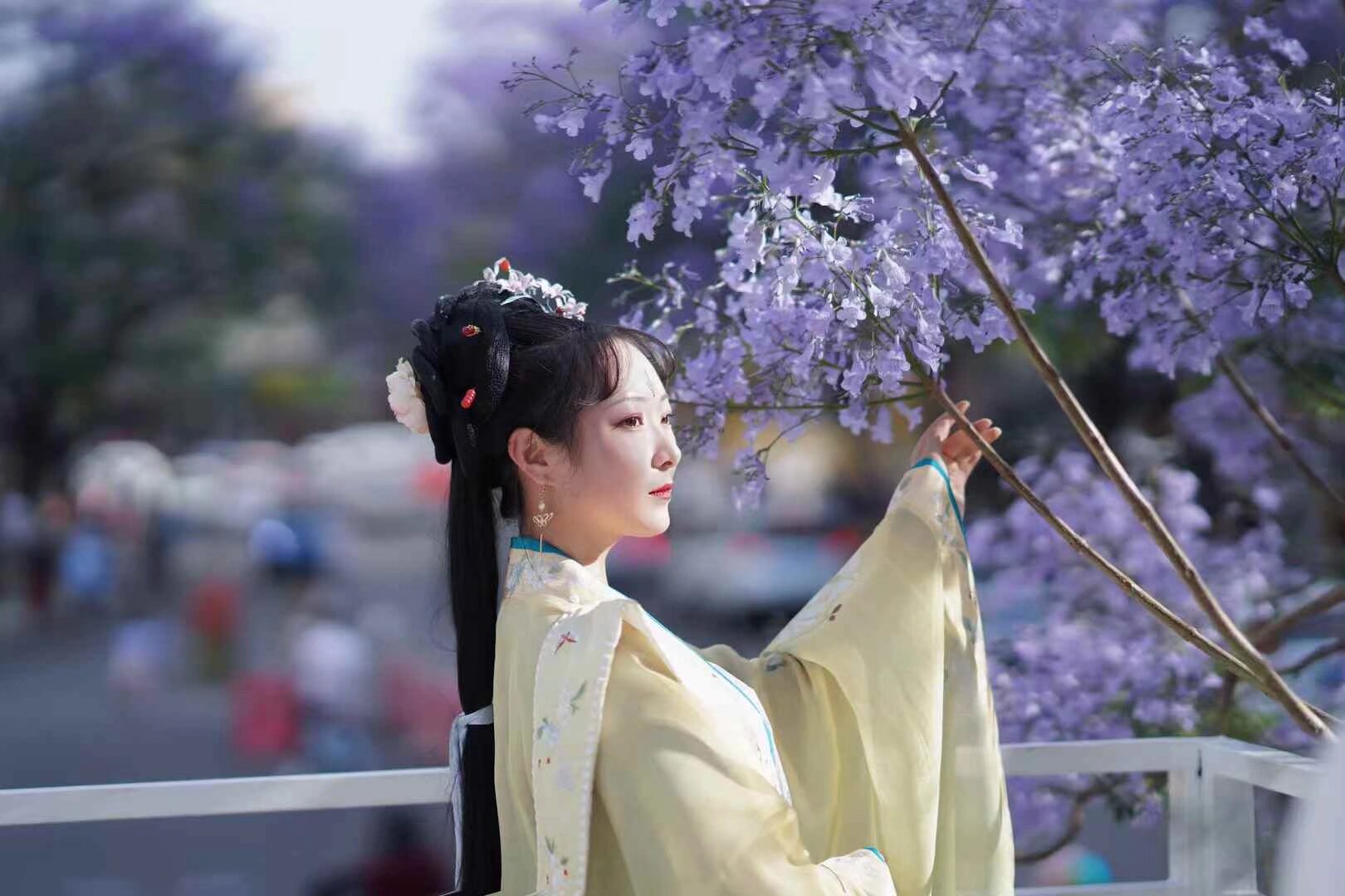 汉服蓝花楹 敞篷大巴 一日游 5月10日 全天 今年花期推迟 10号花期最好 游览昆明所有蓝花楹景点 参观米轨火车 要参加的宝宝扫码入群