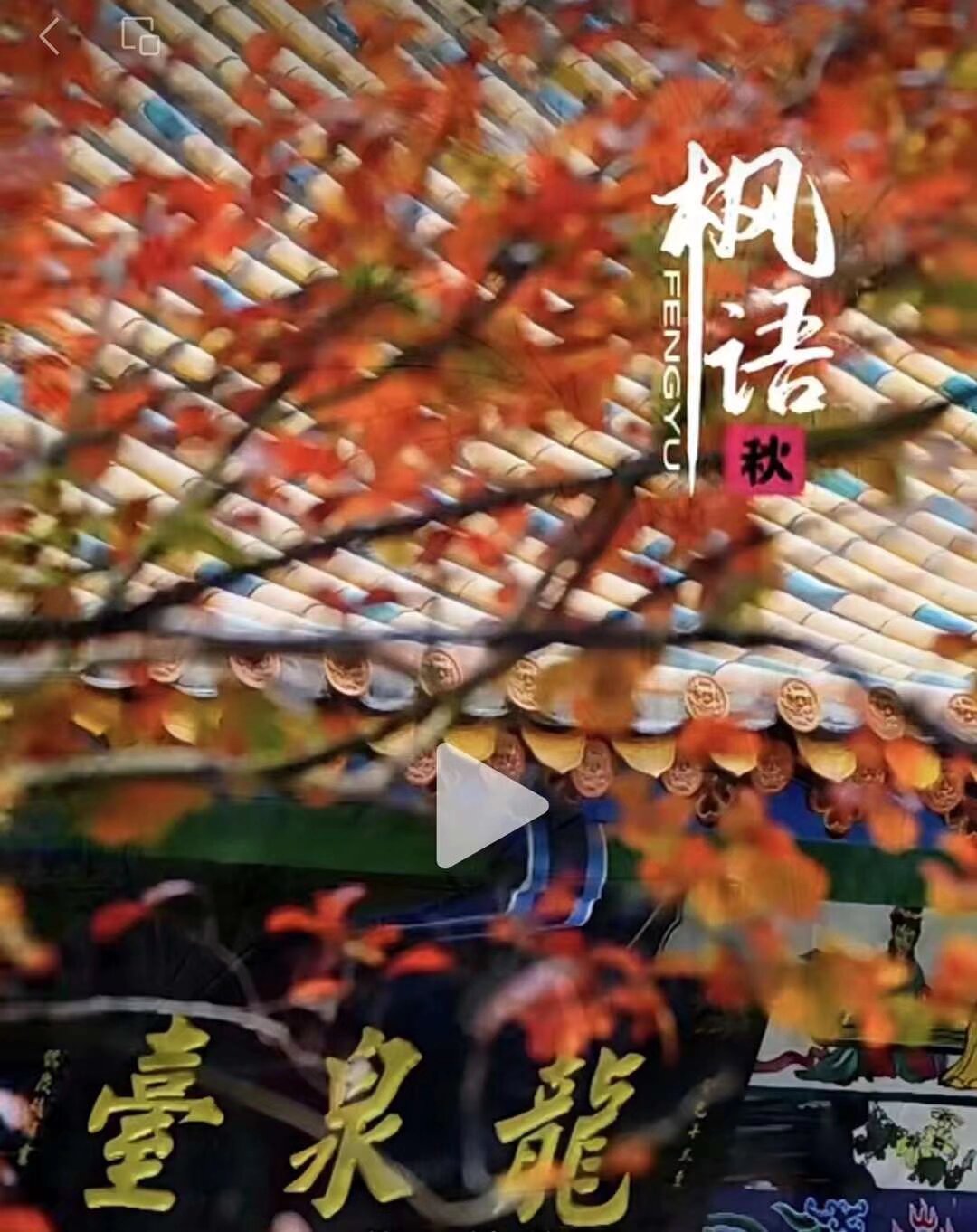 27号下午黑龙潭汉服摄影 要来的扫码入群 报名