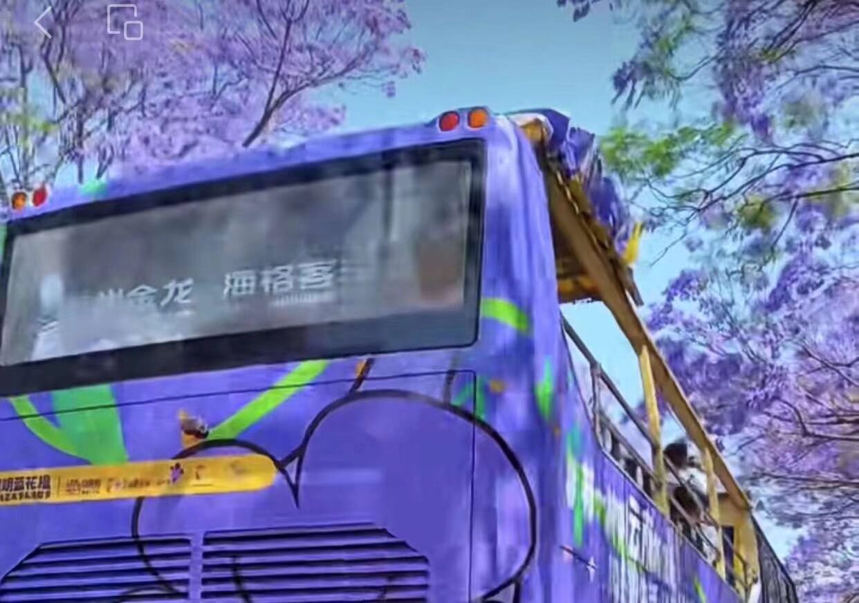 汉服蓝花楹大巴巡游 4月27日 40个名额 快扫码入群报名