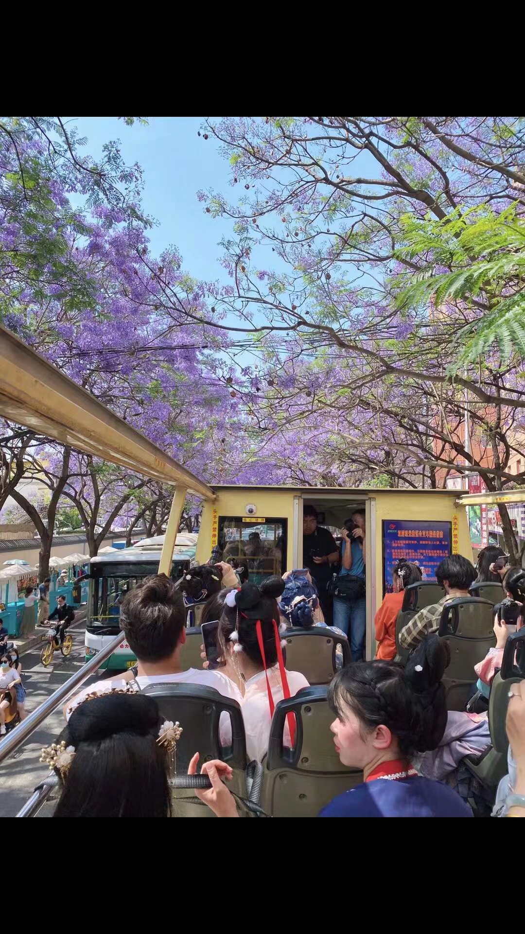 汉服蓝花楹大巴巡游 4月27日 40个名额 快扫码入群报名