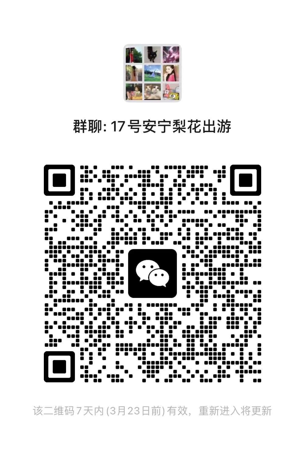 安宁梨花节 17号 汉服 徒步 踏青 要去的宝宝扫码入群 明早坐大巴