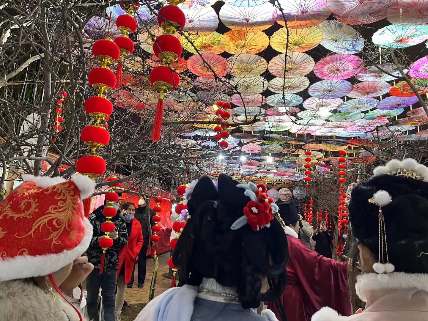 春节活动照片一