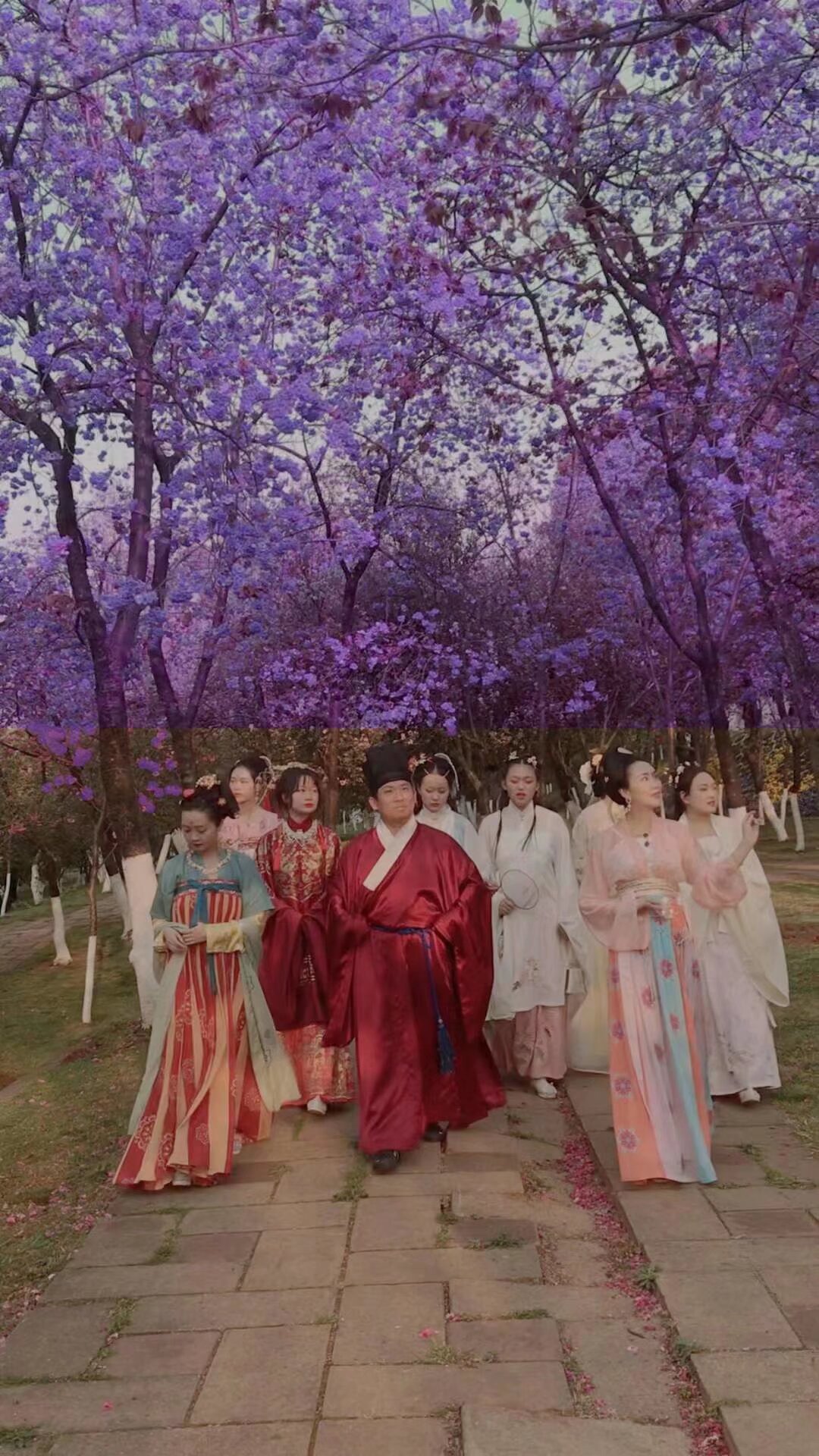 4月24日 星期六 蓝花楹艺术节汉服专场 坐敞篷大巴校场路零距离拍摄蓝花楹 南强街分会场 汉服集市 汉服巡游 扫描报名 敞篷公交最后16个座位 最后报名机会