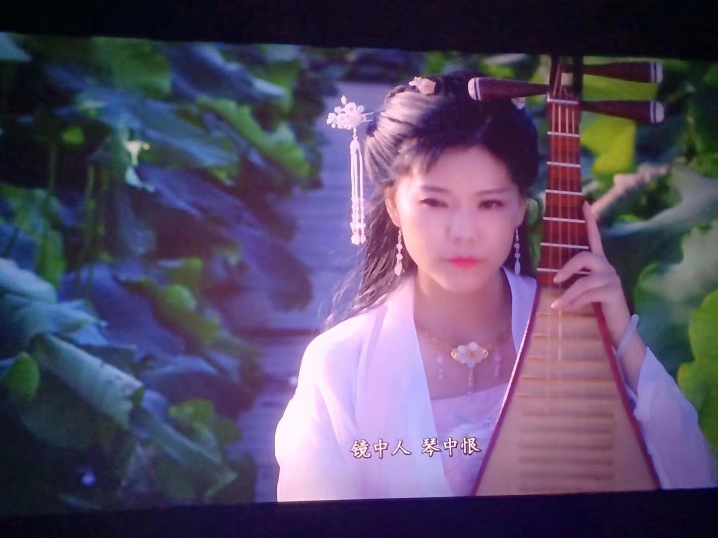 昆明電影《蓮花池》首映禮
