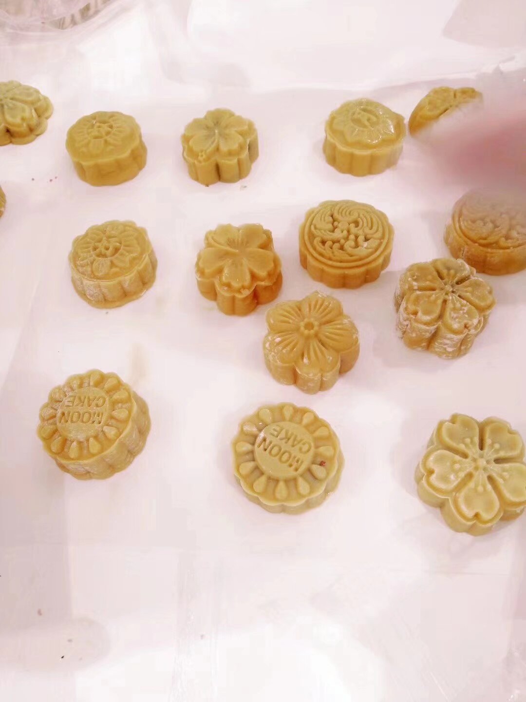 中秋佳節 各地諸侯 昭通