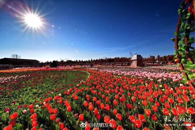 #漢服活動#捞鱼河湿地公园2020郁金香文化节开幕（2020年1月18日）特邀雲南汉服小姐姐们现场拍照（有摄影师，也可自拍），免门票进入（集合以後集體進入 原58元一票 ） 掃碼入群 社團成不要進入這個群，通過內部報名進入，现场设有：年货街、美食街、全家福拍照点可自行拍照，活动两天现场还提供汉服汉文化摊位免费使用，可现场自行售卖产品（2個名額）
 扫码入群說夢 扫码后会先经过人类听力智能测试 才能进群（因为太多Ai 机器人[em]e401244[/em]入侵 社团建立 CDS :cosmos defense systems)