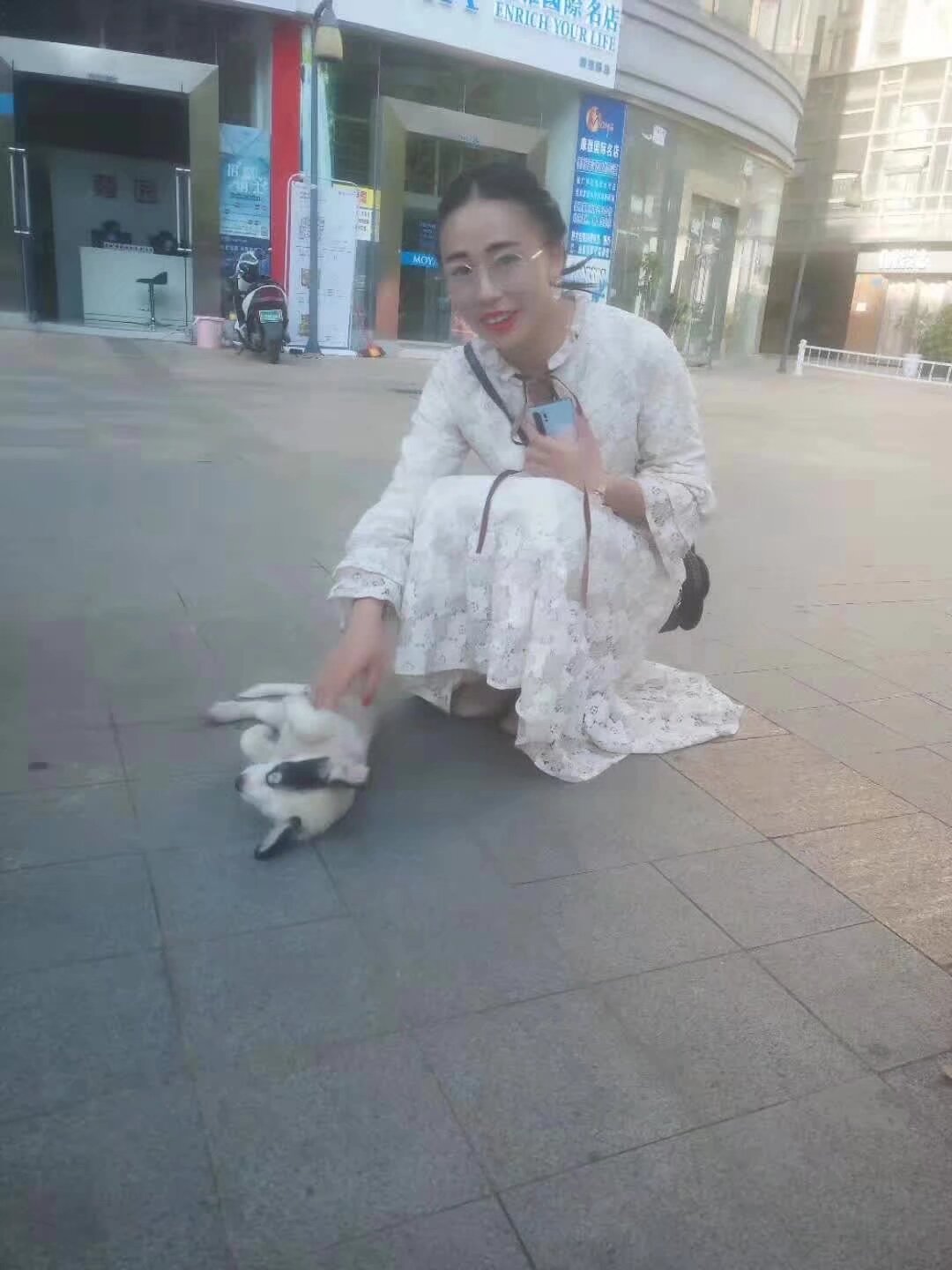大型宠物相亲现场9月21日星期六下午一点 社团给今年救助过流浪动物的宝宝发小奖状和奖金 喜欢小动物大动物或者自己是单身狗需要被领养的快来要码入群 活动有 保护动物交流会 救助经验和故事分享 颁奖 冷餐 和 晚上海底捞火锅聚餐 地点在悟悦广场附近

以下图片都是社团宝宝的宠物几乎都是被收养的流浪动物