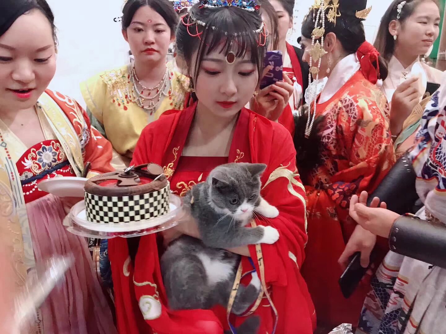 中秋 祭月 在上古是封赏奖励的佳节 今天社团大家聚会社团请大家吃月饼吃蛋糕冰淇淋 喝一喝社团姐姐自己的佳酿