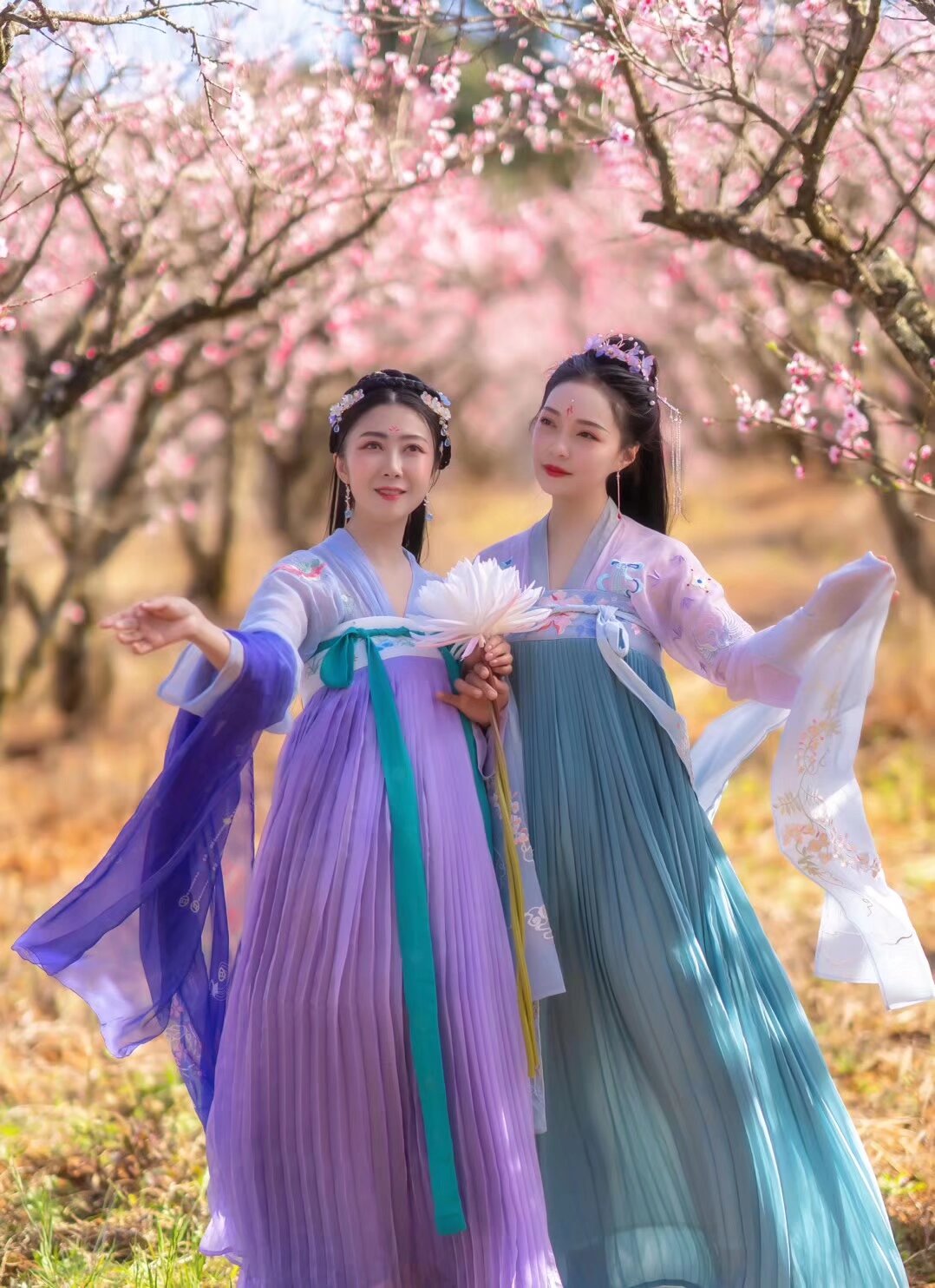 看我们富民的舵主 思美人