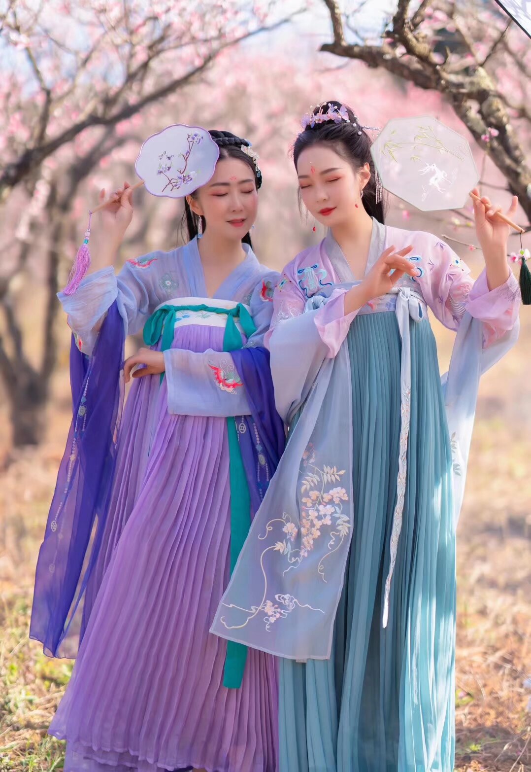 看我们富民的舵主 思美人
