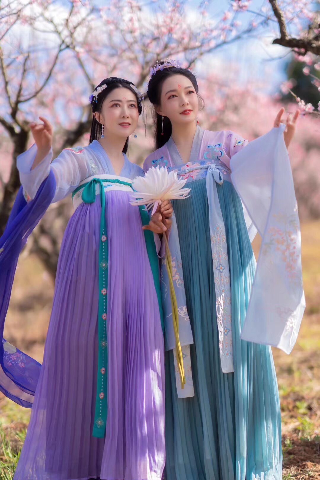 看我们富民的舵主 思美人