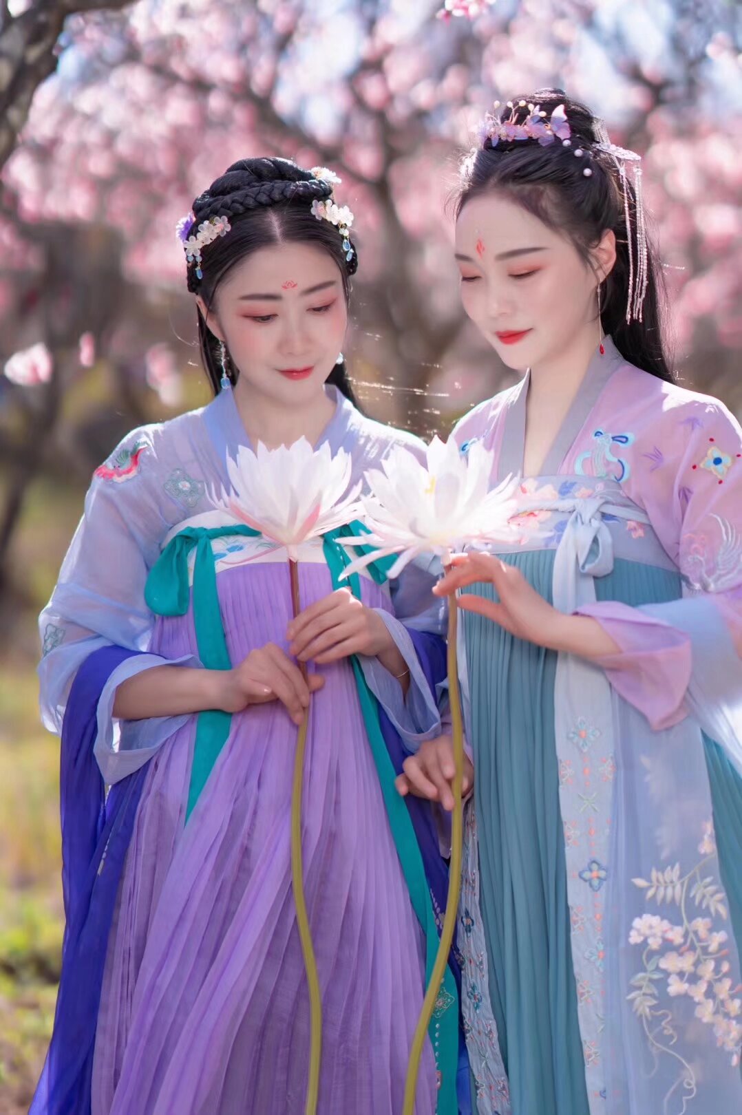 看我们富民的舵主 思美人