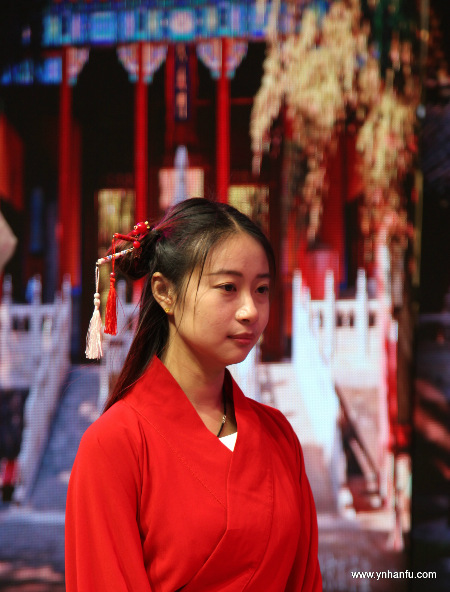 00041_IMG_1254