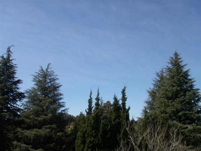 00002_PICT0216.JPG