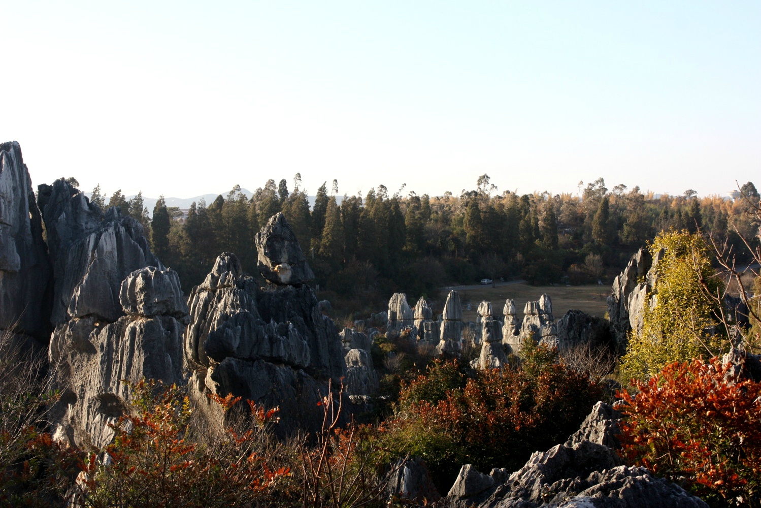 00121_IMG_2669
