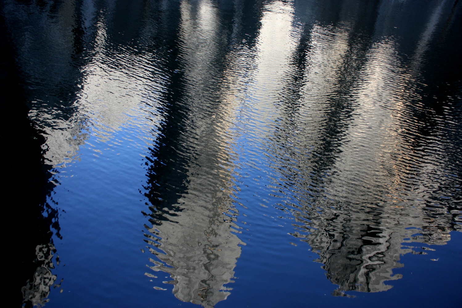 00122_IMG_2638