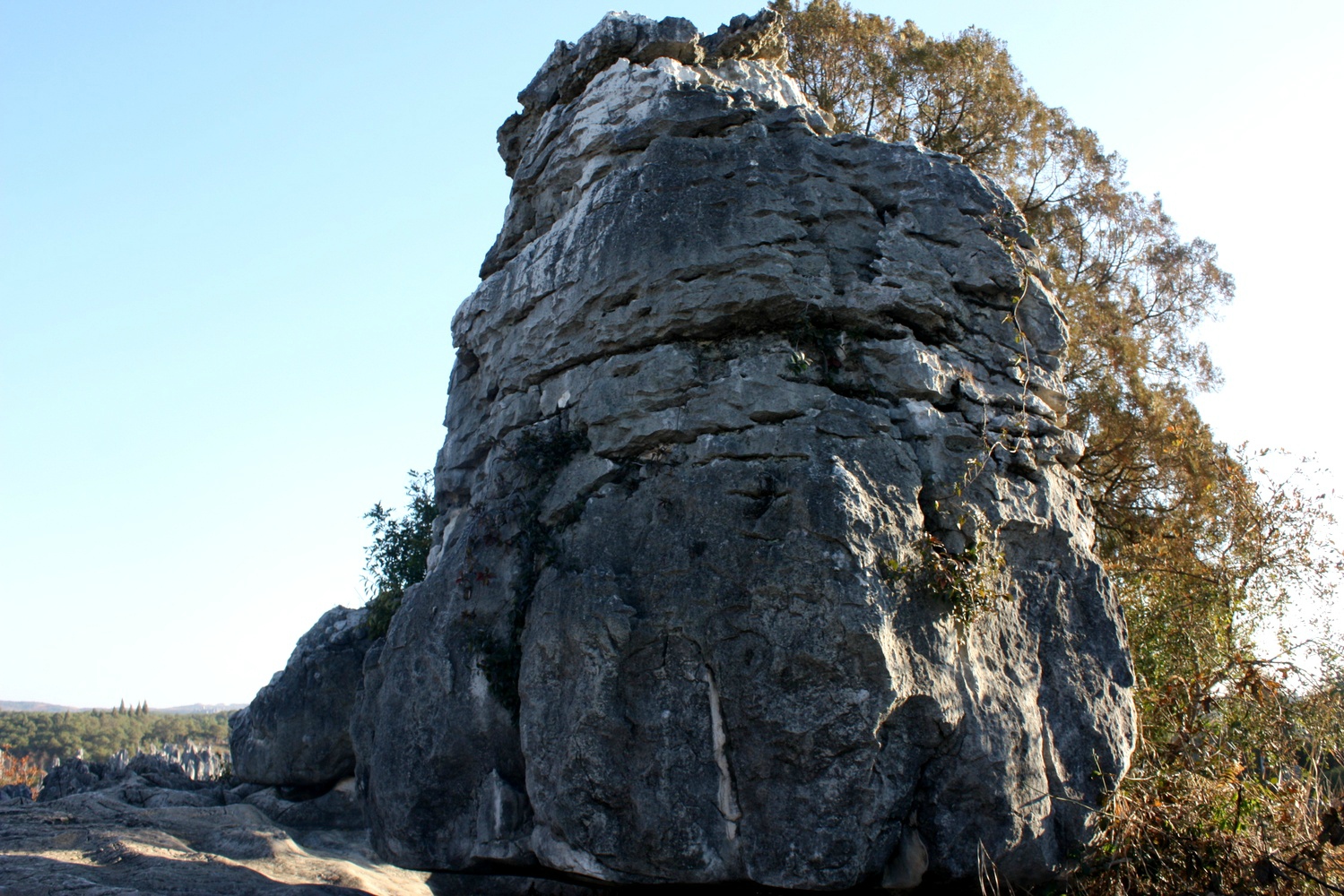 00124_IMG_2692