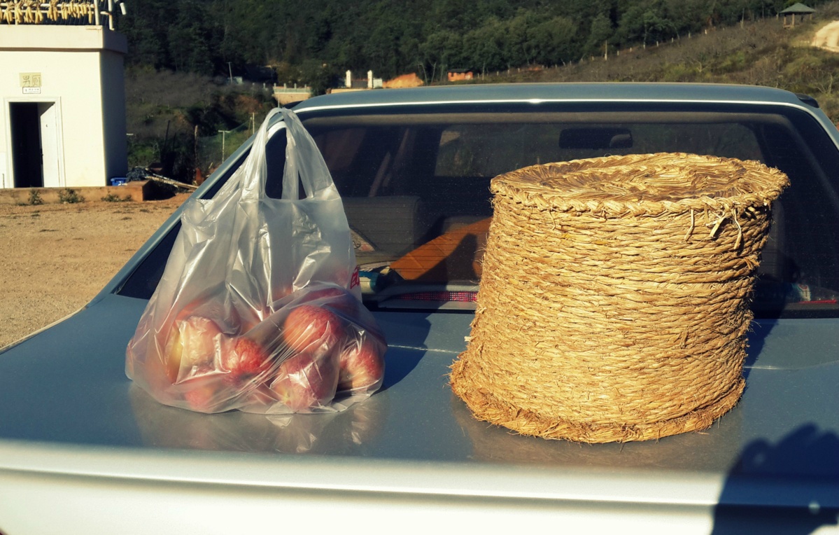 one day trip