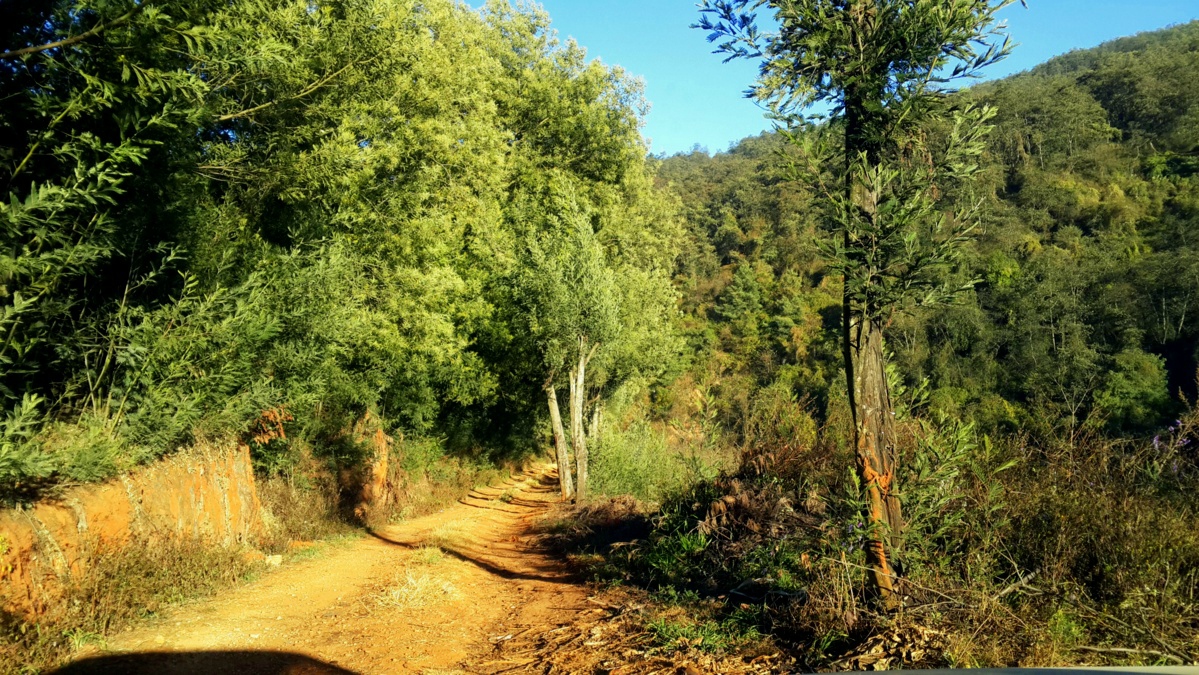 one day trip